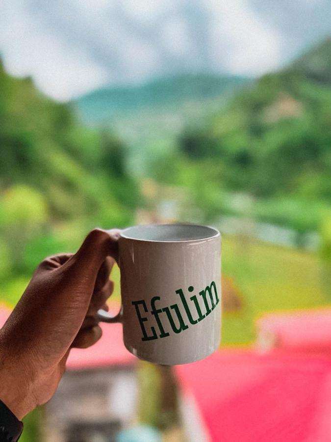 Efulim Apart Çamlıhemşin Екстериор снимка